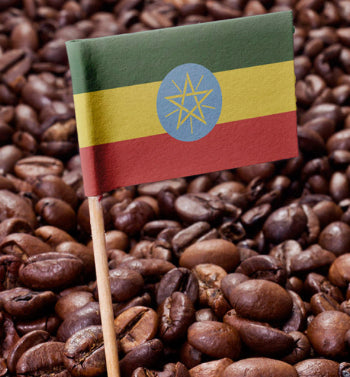 Organic Ethiopia Coffee ''Medium Roast
